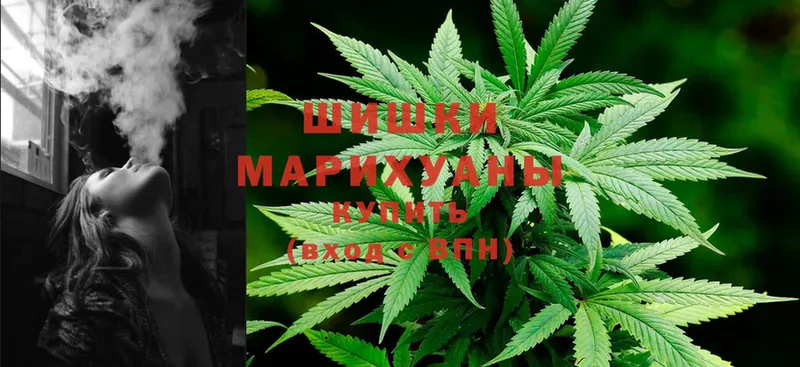 где купить   blacksprut маркетплейс  Марихуана Amnesia  Зеленокумск 